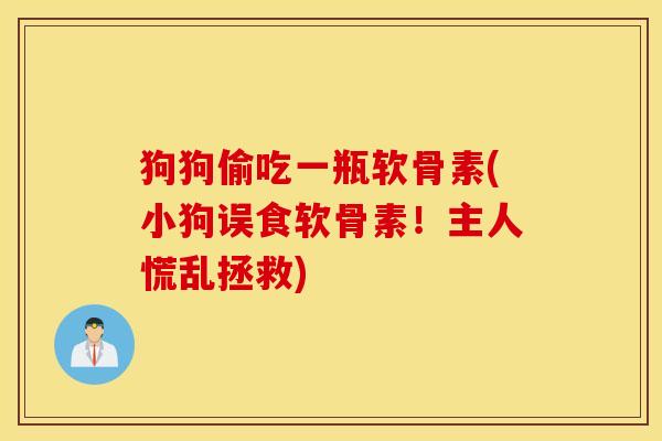 狗狗偷吃一瓶软骨素(小狗误食软骨素！主人慌乱拯救)