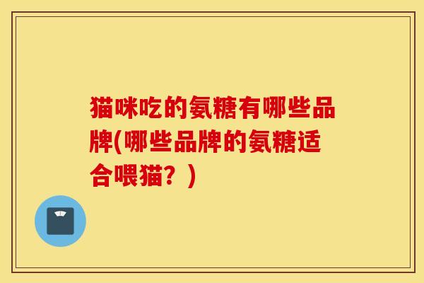 猫咪吃的氨糖有哪些品牌(哪些品牌的氨糖适合喂猫？)