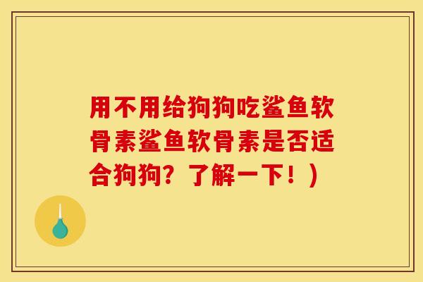 用不用给狗狗吃鲨鱼软骨素鲨鱼软骨素是否适合狗狗？了解一下！)