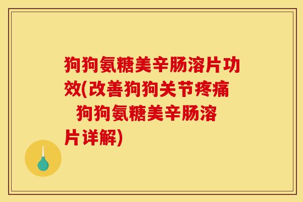 狗狗氨糖美辛肠溶片功效(改善狗狗关节疼痛  狗狗氨糖美辛肠溶片详解)