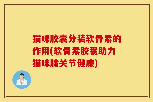 猫咪胶囊分装软骨素的作用(软骨素胶囊助力猫咪膝关节健康)
