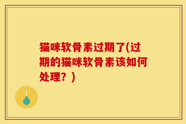 猫咪软骨素过期了(过期的猫咪软骨素该如何处理？)