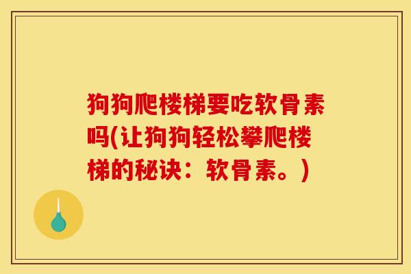 狗狗爬楼梯要吃软骨素吗(让狗狗轻松攀爬楼梯的秘诀：软骨素。)