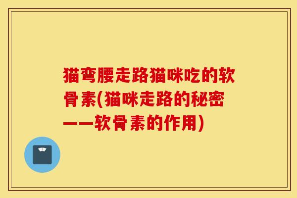 猫弯腰走路猫咪吃的软骨素(猫咪走路的秘密——软骨素的作用)
