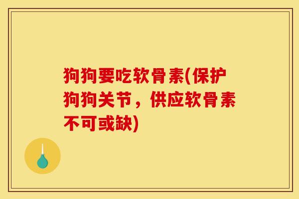 狗狗要吃软骨素(保护狗狗关节，供应软骨素不可或缺)