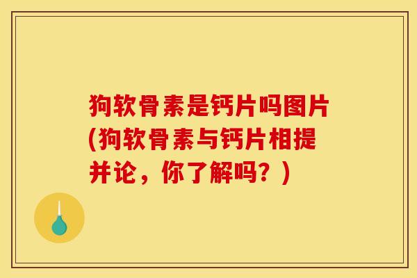狗软骨素是钙片吗图片(狗软骨素与钙片相提并论，你了解吗？)