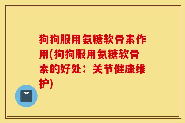 狗狗服用氨糖软骨素作用(狗狗服用氨糖软骨素的好处：关节健康维护)