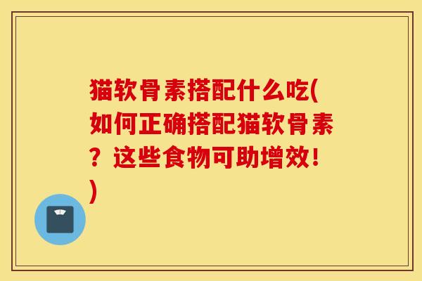 猫软骨素搭配什么吃(如何正确搭配猫软骨素？这些食物可助增效！)