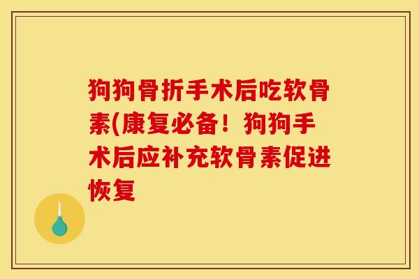 狗狗骨折手术后吃软骨素(康复必备！狗狗手术后应补充软骨素促进恢复