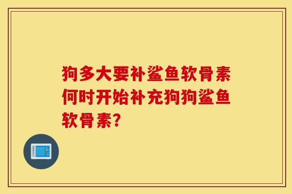 狗多大要补鲨鱼软骨素何时开始补充狗狗鲨鱼软骨素？