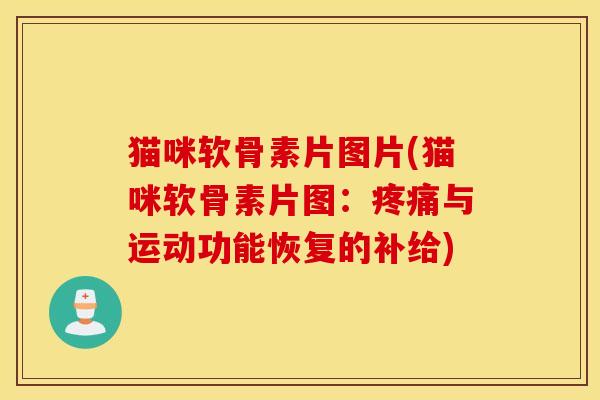 猫咪软骨素片图片(猫咪软骨素片图：疼痛与运动功能恢复的补给)
