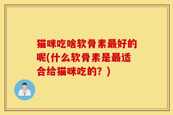 猫咪吃啥软骨素最好的呢(什么软骨素是最适合给猫咪吃的？)