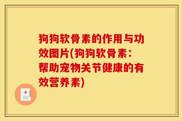狗狗软骨素的作用与功效图片(狗狗软骨素：帮助宠物关节健康的有效营养素)