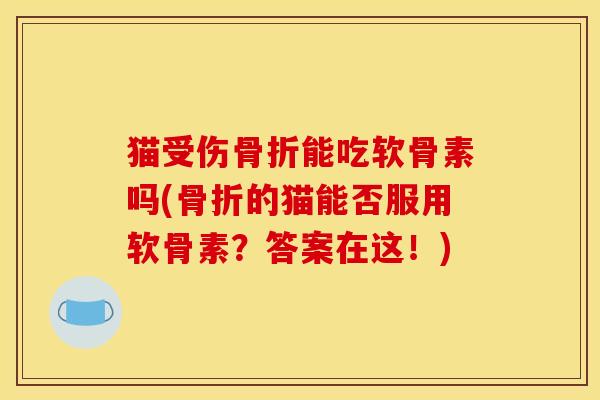 猫受伤骨折能吃软骨素吗(骨折的猫能否服用软骨素？答案在这！)
