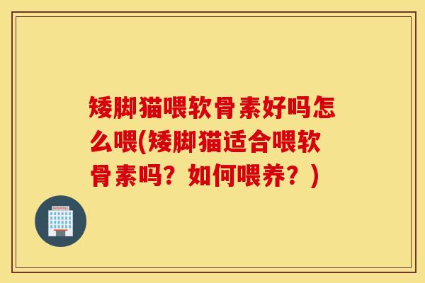 矮脚猫喂软骨素好吗怎么喂(矮脚猫适合喂软骨素吗？如何喂养？)