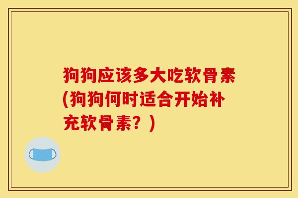狗狗应该多大吃软骨素(狗狗何时适合开始补充软骨素？)