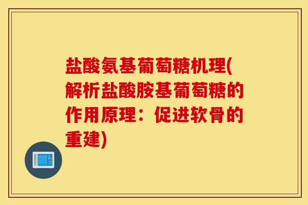 盐酸氨基葡萄糖机理(解析盐酸胺基葡萄糖的作用原理：促进软骨的重建)