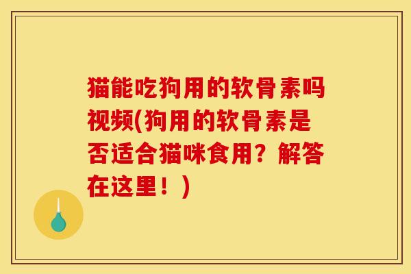 猫能吃狗用的软骨素吗视频(狗用的软骨素是否适合猫咪食用？解答在这里！)