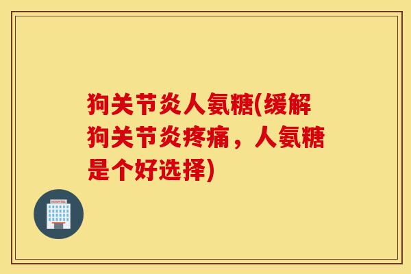 狗关节炎人氨糖(缓解狗关节炎疼痛,人氨糖是个好选择) 狗关节炎人氨糖(缓解狗关节炎疼痛,人氨糖是个好选择)