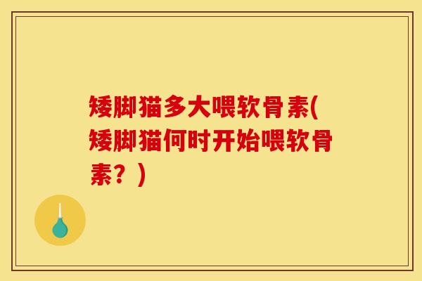 矮脚猫多大喂软骨素(矮脚猫何时开始喂软骨素？)