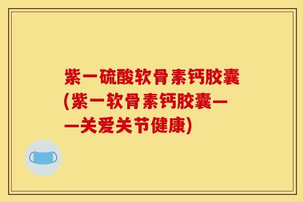紫一硫酸软骨素钙胶囊(紫一软骨素钙胶囊——关爱关节健康) 紫一硫酸软骨素钙胶囊(紫一软骨素钙胶囊——关爱关节健康)