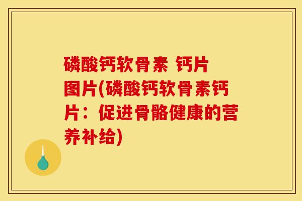 磷酸钙软骨素 钙片 图片(磷酸钙软骨素钙片:促进骨骼健康的营养补给) 磷酸钙软骨素 钙片 图片(磷酸钙软骨素钙片:促进骨骼健康的营养补给)