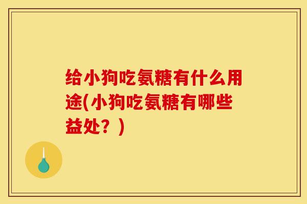 给小狗吃氨糖有什么用途(小狗吃氨糖有哪些益处？)