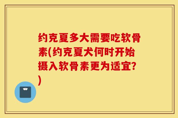 约克夏多大需要吃软骨素(约克夏犬何时开始摄入软骨素更为适宜?) 约克夏多大需要吃软骨素(约克夏犬何时开始摄入软骨素更为适宜?)