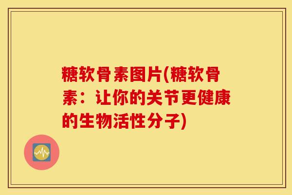 糖软骨素图片(糖软骨素：让你的关节更健康的生物活性分子)