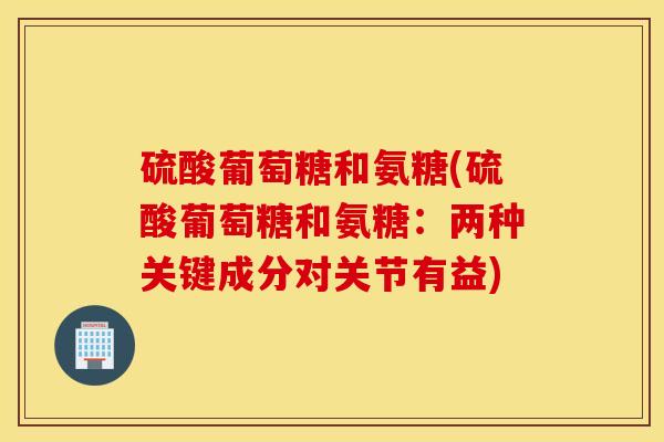 硫酸葡萄糖和氨糖(硫酸葡萄糖和氨糖：两种关键成分对关节有益)