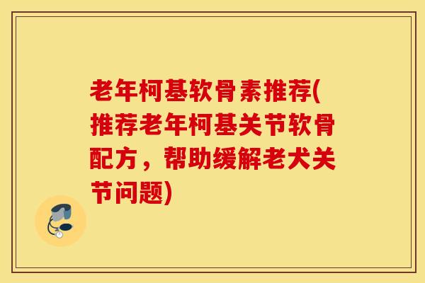 老年柯基软骨素推荐(推荐老年柯基关节软骨配方，帮助缓解老犬关节问题)