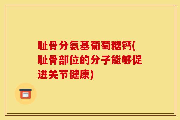 耻骨分氨基葡萄糖钙(耻骨部位的分子能够促进关节健康)
