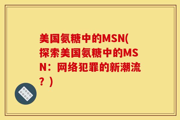 美国氨糖中的MSN(探索美国氨糖中的MSN:网络犯罪的新潮流?) 美国氨糖中的MSN(探索美国氨糖中的MSN:网络犯罪的新潮流?)