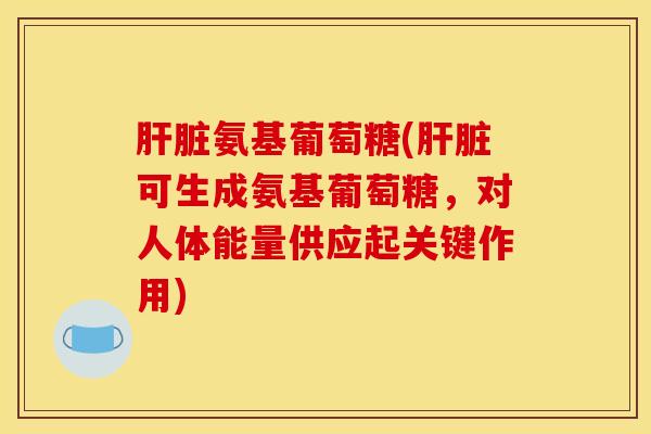 肝脏氨基葡萄糖(肝脏可生成氨基葡萄糖，对人体能量供应起关键作用)