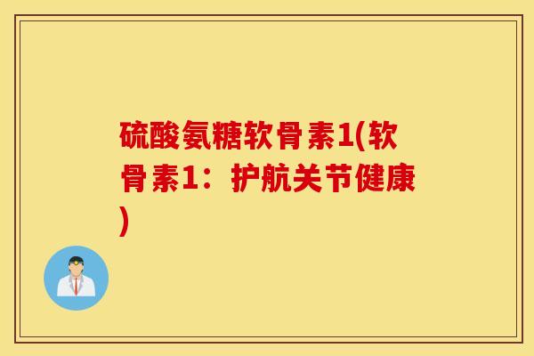 硫酸氨糖软骨素1(软骨素1:护航关节健康) 硫酸氨糖软骨素1(软骨素1:护航关节健康)