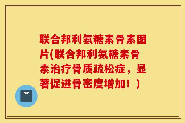 联合邦利氨糖素骨素图片(联合邦利氨糖素骨素治疗骨质疏松症，显著促进骨密度增加！)