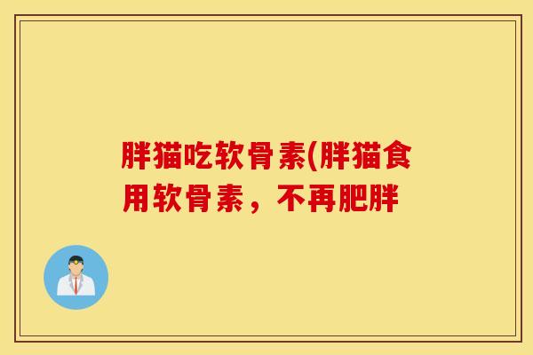 胖猫吃软骨素(胖猫食用软骨素,不再肥胖 胖猫吃软骨素(胖猫食用软骨素,不再肥胖