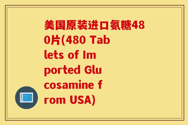 美国原装进口氨糖480片(480 Tablets of Imported Glucosamine from USA)