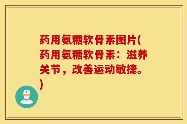 药用氨糖软骨素图片(药用氨糖软骨素：滋养关节，改善运动敏捷。)