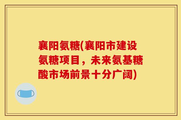 襄阳氨糖(襄阳市建设氨糖项目，未来氨基糖酸市场前景十分广阔)