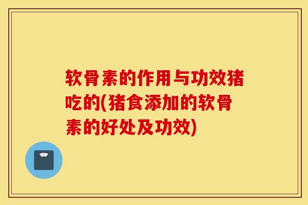软骨素的作用与功效猪吃的(猪食添加的软骨素的好处及功效)