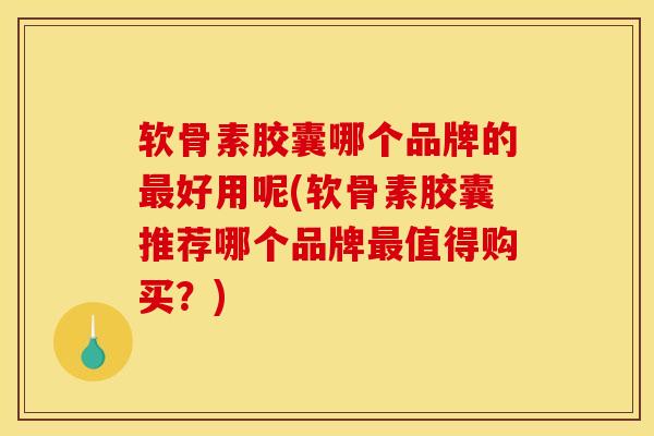 软骨素胶囊哪个品牌的最好用呢(软骨素胶囊推荐哪个品牌最值得购买?) 软骨素胶囊哪个品牌的最好用呢(软骨素胶囊推荐哪个品牌最值得购买?)