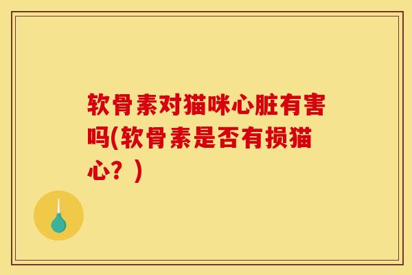 软骨素对猫咪心脏有害吗(软骨素是否有损猫心？)