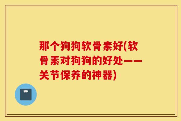 那个狗狗软骨素好(软骨素对狗狗的好处——关节保养的神器)