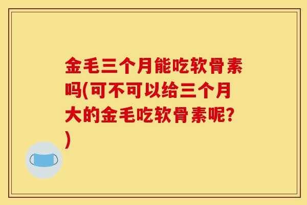 金毛三个月能吃软骨素吗(可不可以给三个月大的金毛吃软骨素呢？)