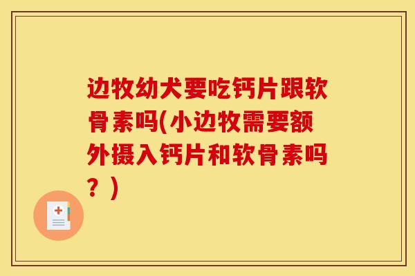 边牧幼犬要吃钙片跟软骨素吗(小边牧需要额外摄入钙片和软骨素吗?) 边牧幼犬要吃钙片跟软骨素吗(小边牧需要额外摄入钙片和软骨素吗?)