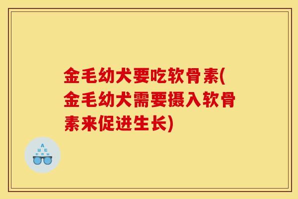 金毛幼犬要吃软骨素(金毛幼犬需要摄入软骨素来促进生长)