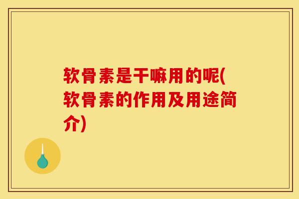 软骨素是干嘛用的呢(软骨素的作用及用途简介)