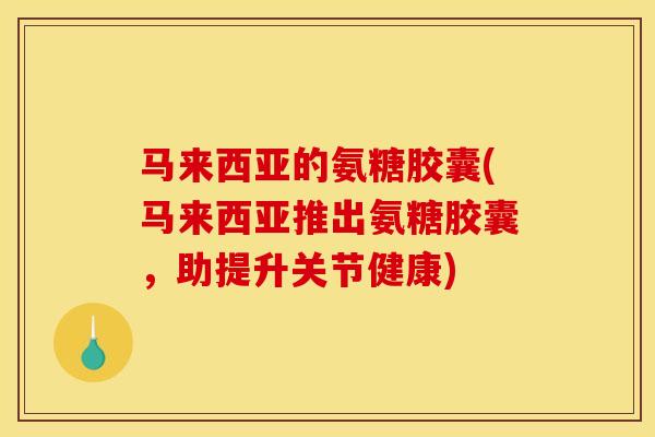 马来西亚的氨糖胶囊(马来西亚推出氨糖胶囊，助提升关节健康)