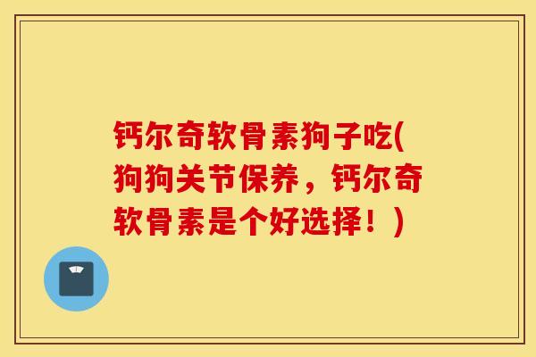 钙尔奇软骨素狗子吃(狗狗关节保养，钙尔奇软骨素是个好选择！)